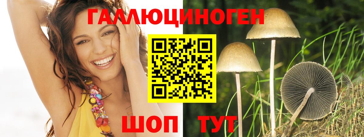 Озёры  Псилоцибиновые грибы Cubensis  Псилоцибиновые грибы Cubensis  Вход с VPN 