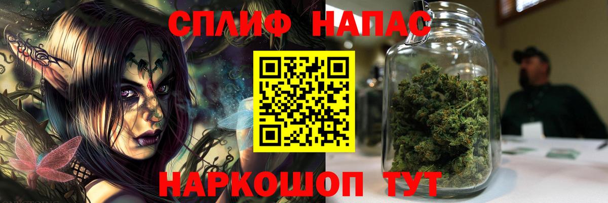 Каннабис планчик Озёры